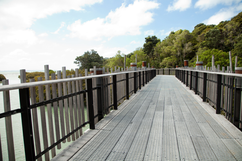 Auckland walks to do this winter (3)