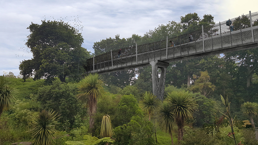 Work begins on Waterview cycling and walking connection_2