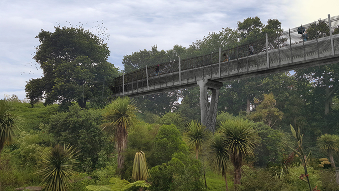Work begins on Waterview cycling and walking connection_2