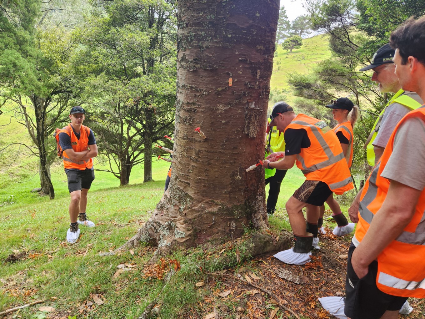 Awhitu Landscaping Project.