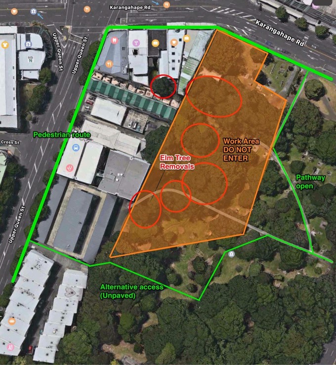 Removal of diseased elm trees begins at Symonds Street Cemetery (1)