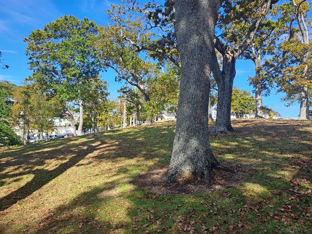 Domain Trial Site 3