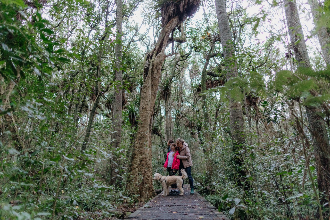 A family walking their dog through the bush. 