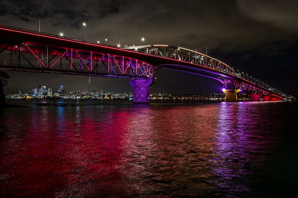 Waitangi Vector Lights 2