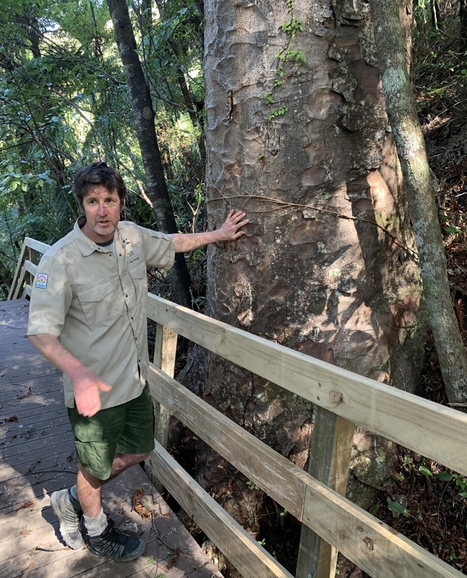 Track work making strides in regional parks (1)