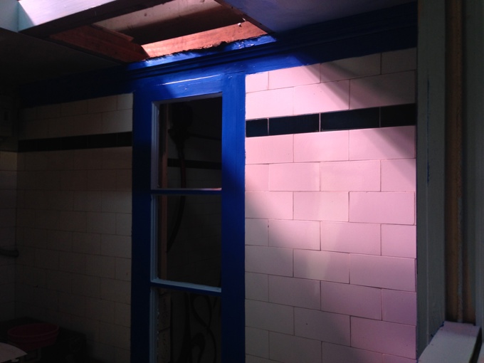 Designer loos on Wellesley 9