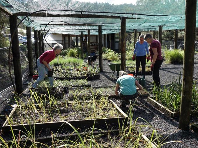 Matuku Link nursery working bee.jpg