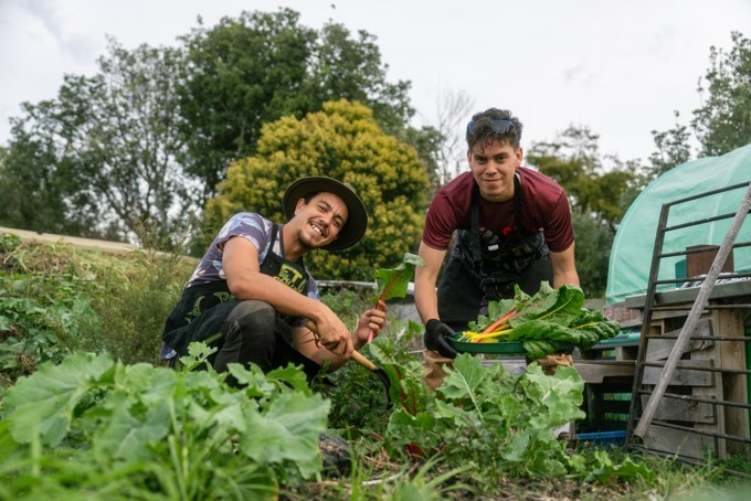 Mangere Community Enviro Hub