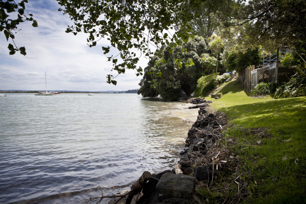 Local projects focus on water quality in Albert-Eden