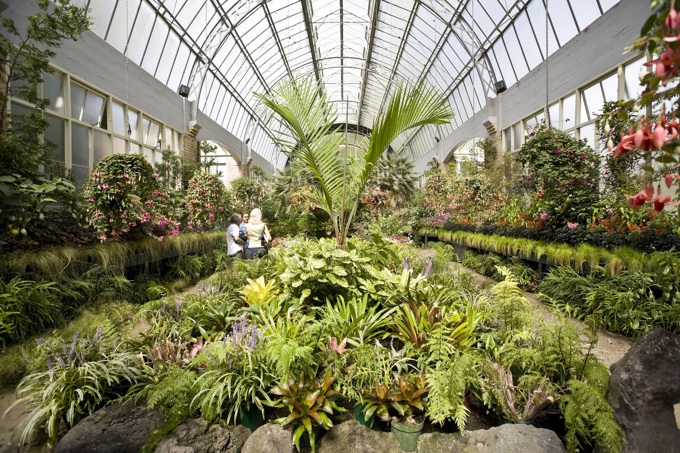 Auckland Council reduces water usage (2)