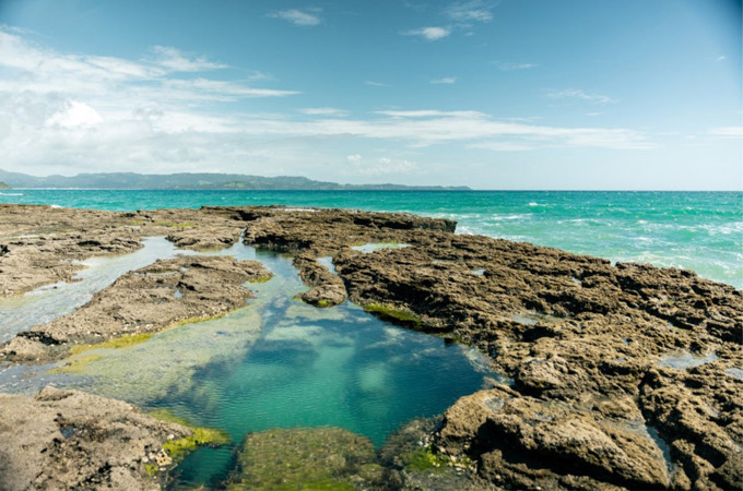 Tawharanui rock pools