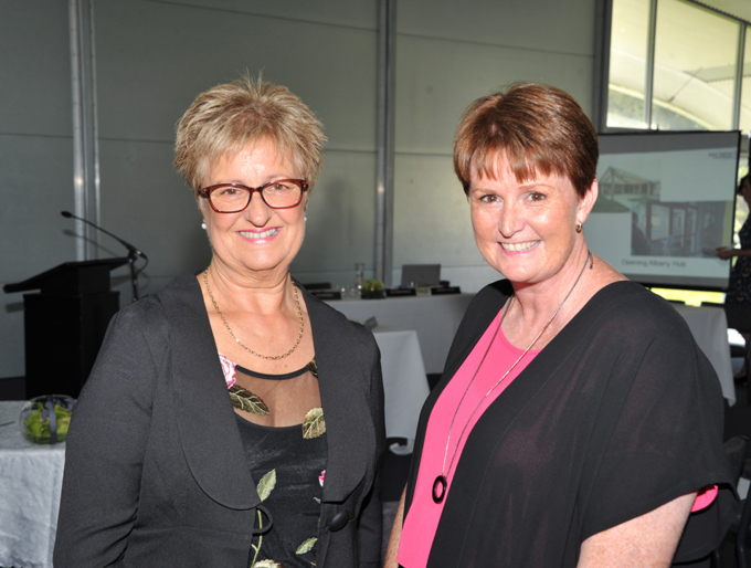 Upper Harbour stalwarts step down from politics