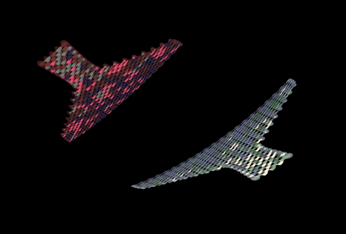 Mana Whenua collaborate on bus station design (2)