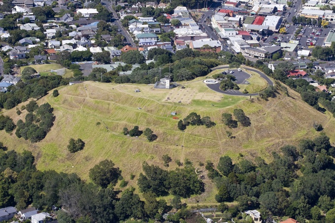 Dutch elm disease found on Takarunga-Mt Victoria
