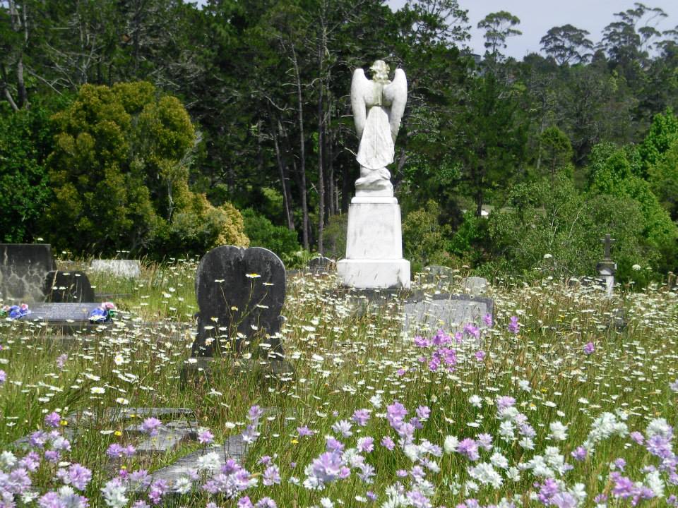 Waikumete Wildflowers