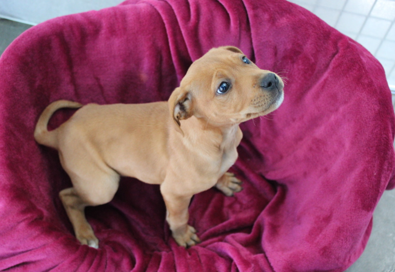 IMG 3026