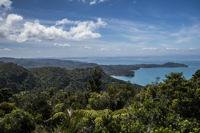 A view of the Manakau Harbour