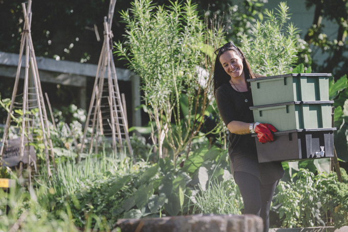 5 Low Carbon 38-323342.jpg