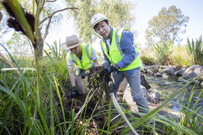 38-377950 Volunteers at Walmsley Park