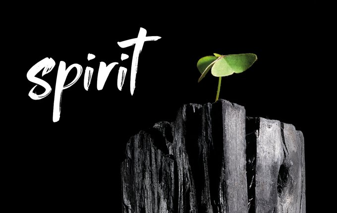 22 PRO 0265 COVID 19 At Home OA Tiles 1360X860 Spirit 7