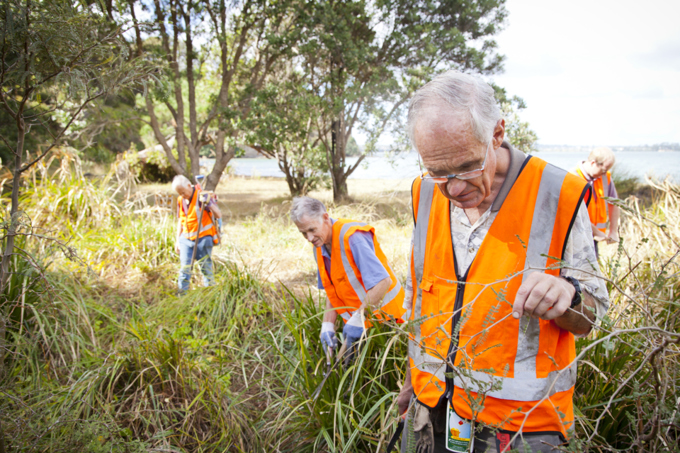 Tips for starting your own pest-control group in Auckland