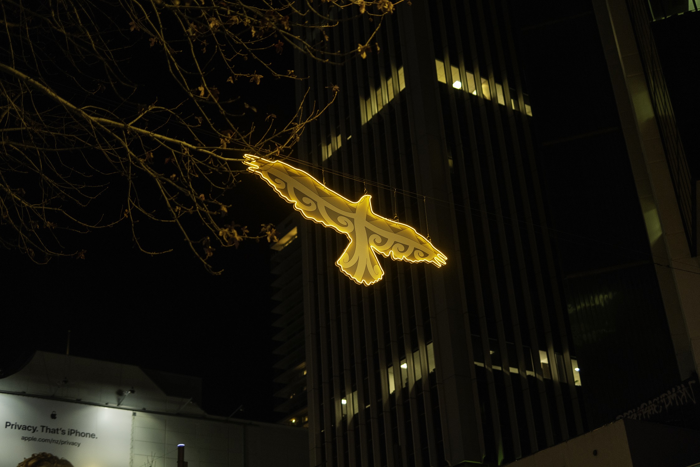 Turama Kahu artwork.