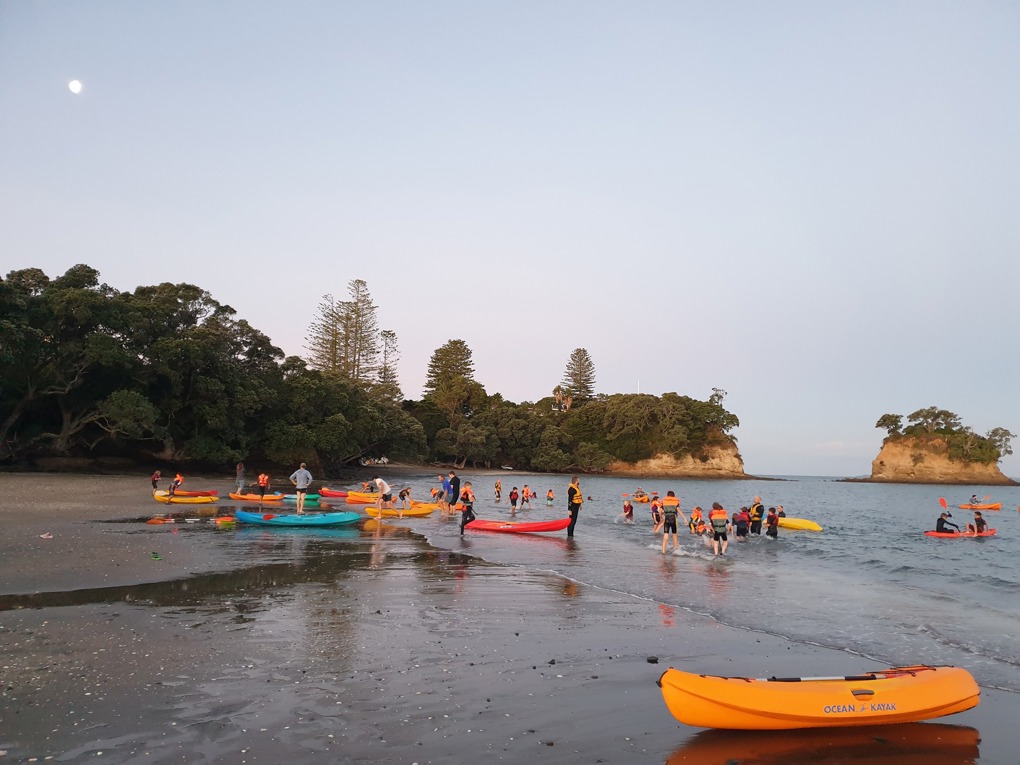 $233,000 boost for Hibiscus and Bays community projects