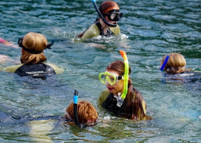 Manurewa groups supported by grants