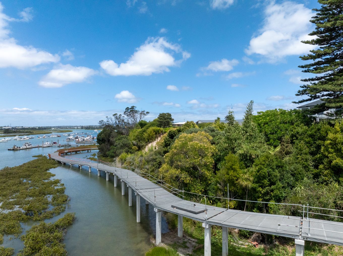 Te Whau pathway scaffolding.