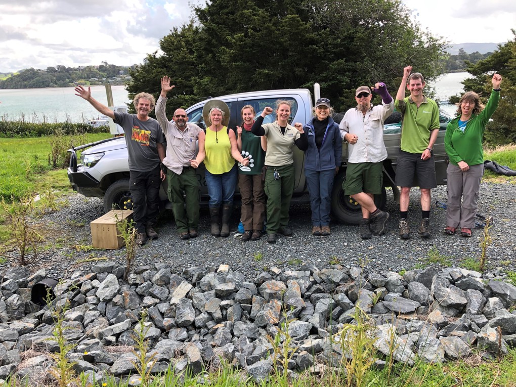 Takahe wanderers 2