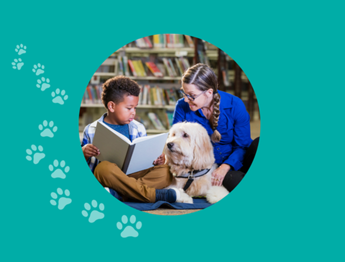 Whangaparāoa Library - Children's Programming OUR AUCKLAND Banners (1)_cfmi3py1.png