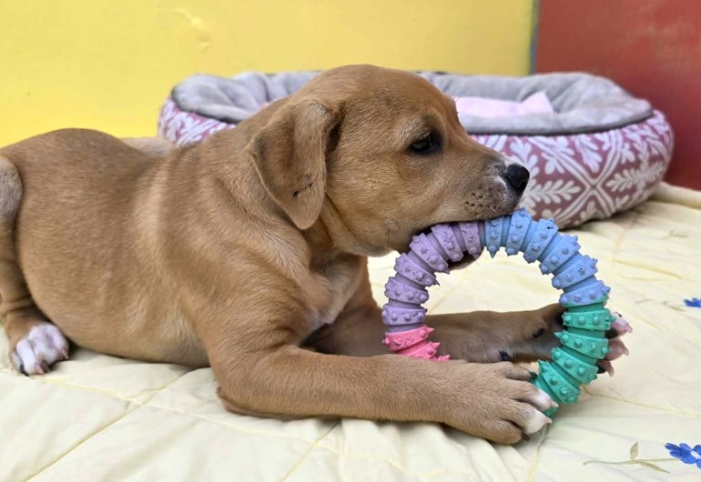 662389581 996414426278398 289813094383966551 N