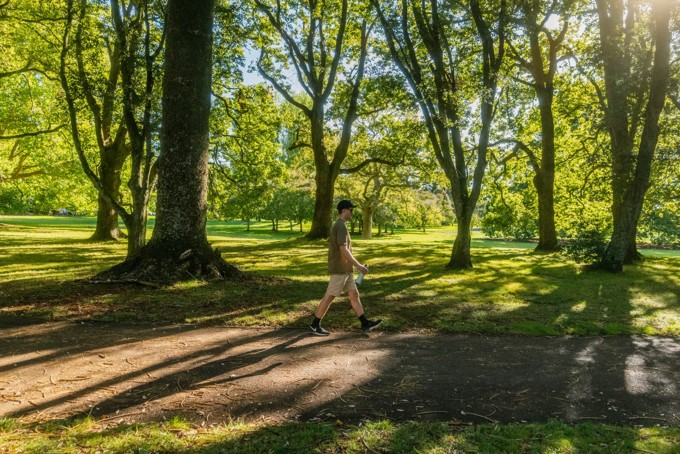 Grafton to Maungakiekie