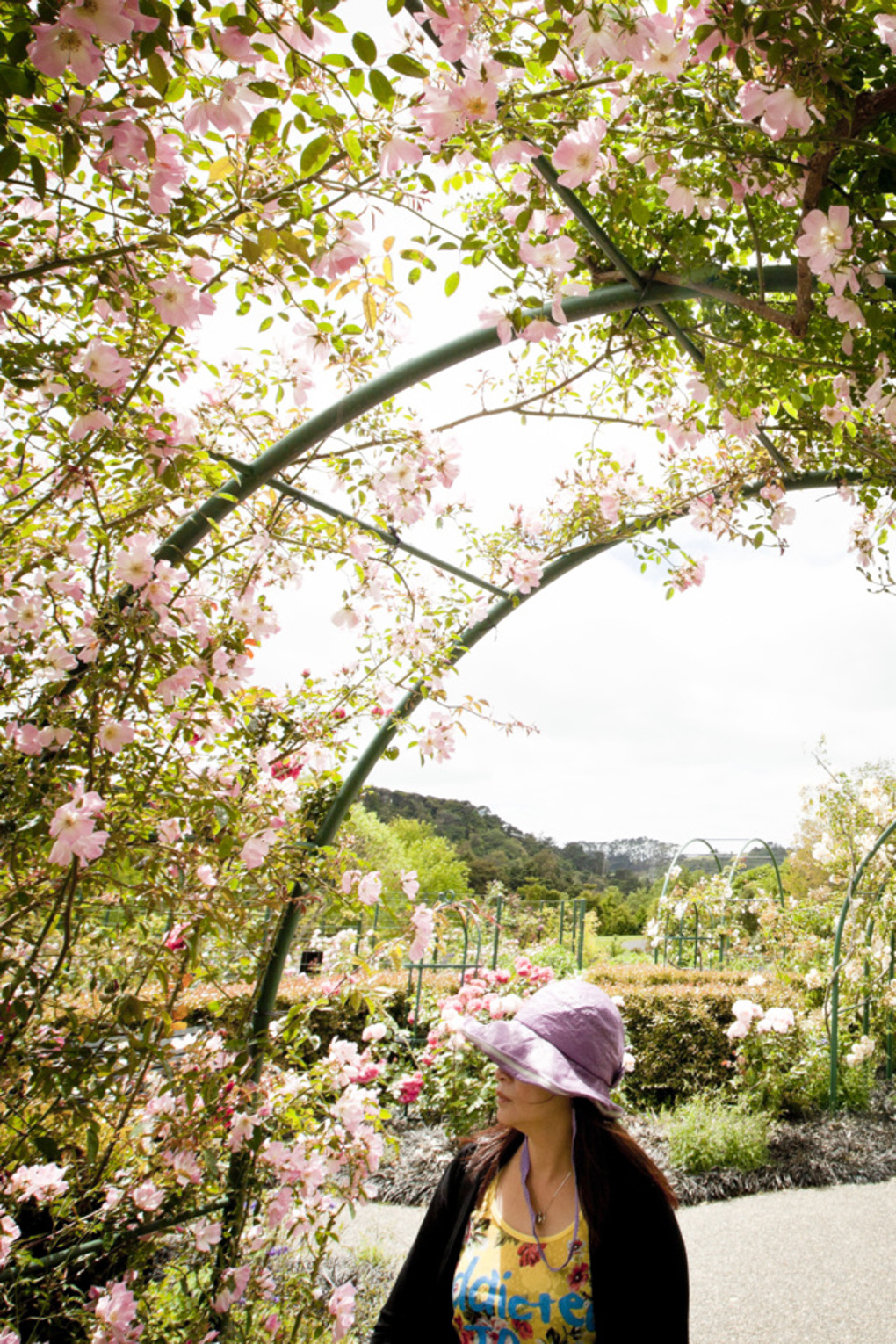 Ten top things to do in south Auckland this spring (1)