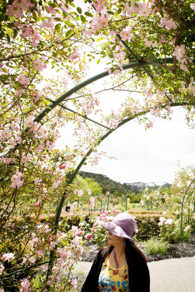 Ten top things to do in south Auckland this spring (1)