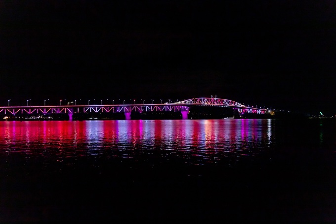 New Year's Vector Lights