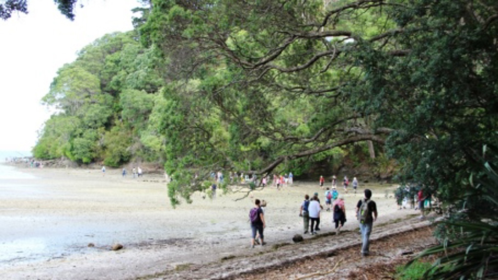 Spotlight on Puketapapa 3
