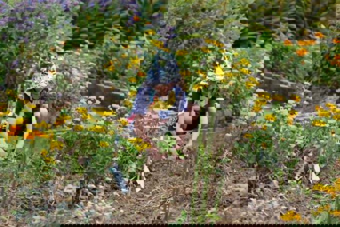 Eco Neighborhood featured