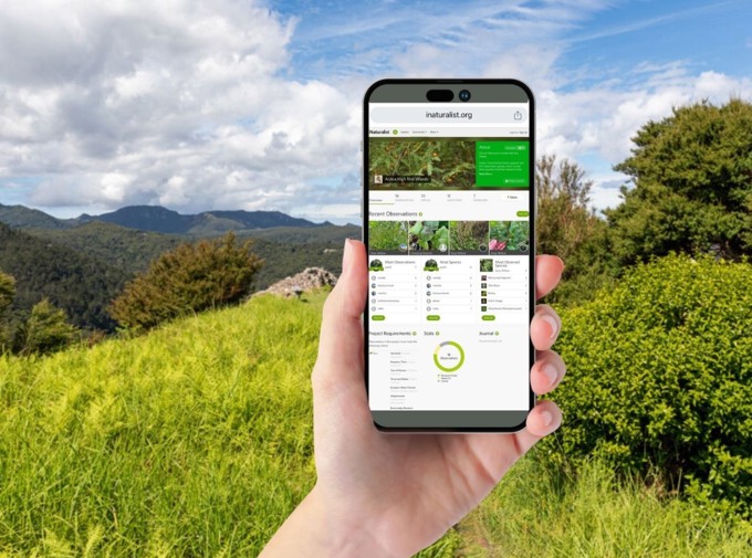 Aotea Pest Weed Project OA