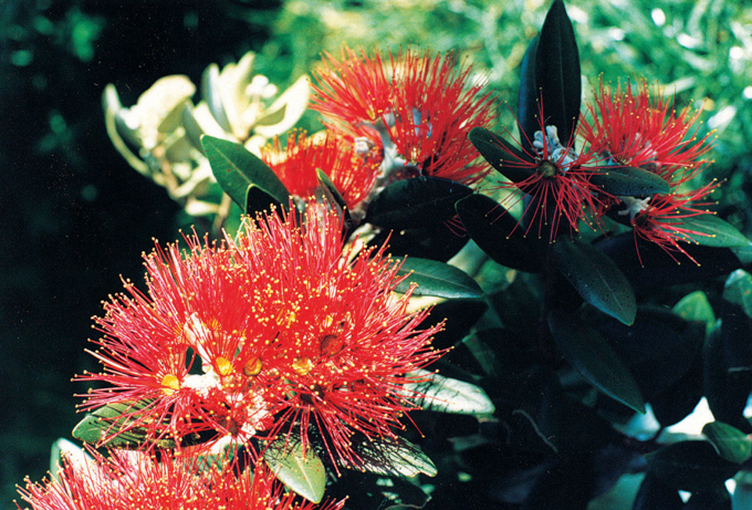 Check before you chop